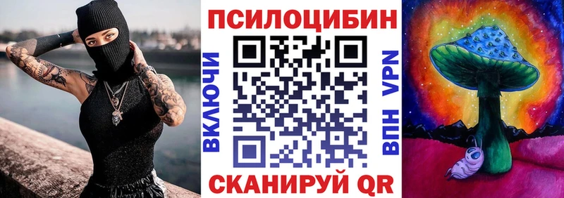 наркота  это телеграм  Галлюциногенные грибы Cubensis  Сусуман 